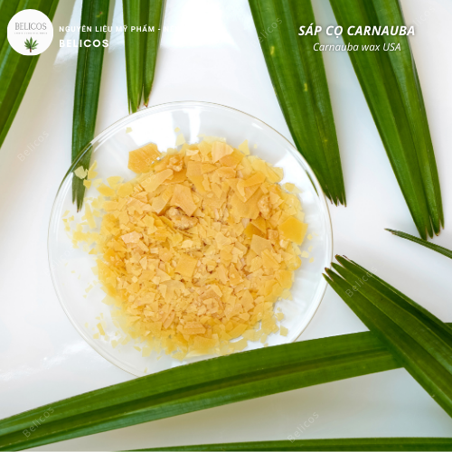 Sáp cọ Carnauba