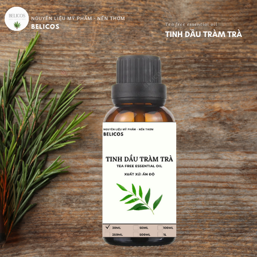 Đặc điểm của tinh dầu tràm trà