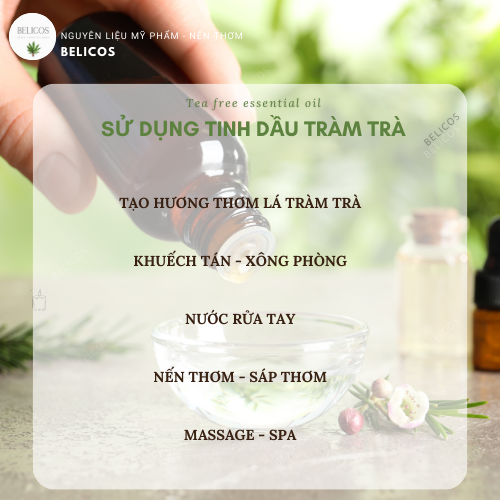 Sử dụng tinh dầu tràm trà