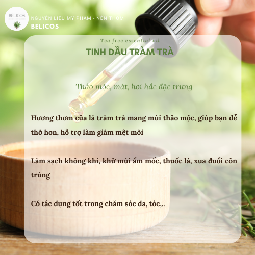 Công dụng của tinh dầu Tràm trà