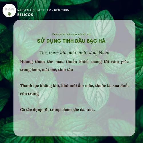 Công dụng của tinh dầu bạc hà