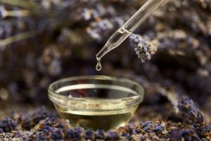 Đặc điểm tinh dầu Lavender