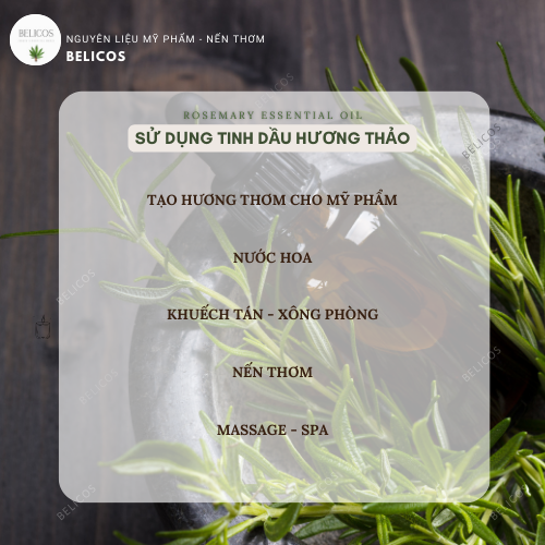 Sử dụng tinh dầu hương thảo