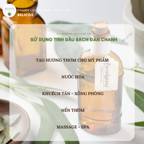 Ứng dụng tinh dầu bạch đàn chanh
