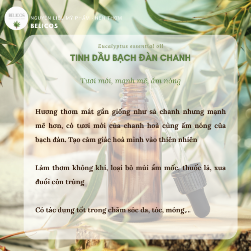 Công dụng tinh dầu bạch đàn chanh