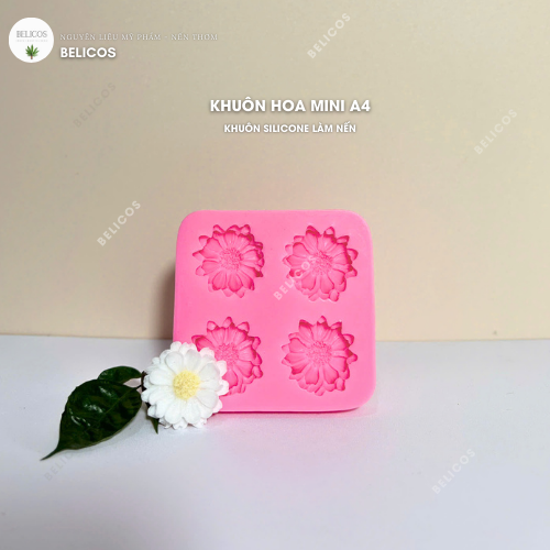 Ứng dụng khuôn hoa cúc mini