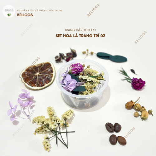 Set hoa khô trang trí 02