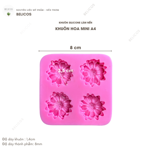 Kích thước khuôn hoa cúc mini A4