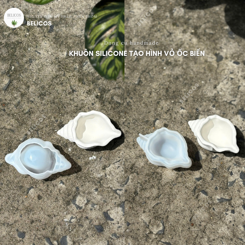 Hai mặt khuôn hình vỏ ốc