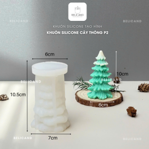 Kích thước khuôn cây thông P2