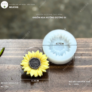 Kích thước khuôn hướng dương S1
