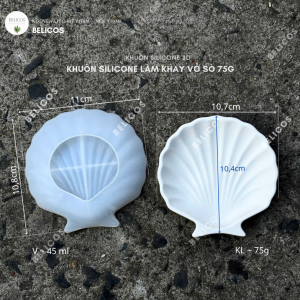 Kích thước khuôn làm khay vỏ sò