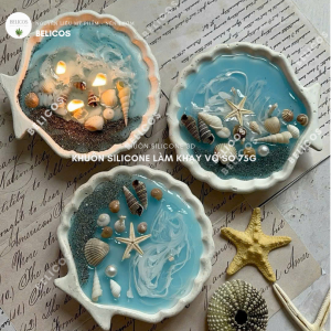 Làm nến thơm vỏ sò