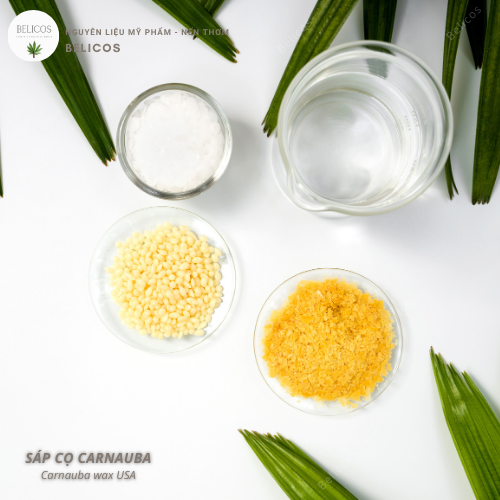 Sáp carnauba mỹ phẩm Sáp carnauba mỹ phẩm