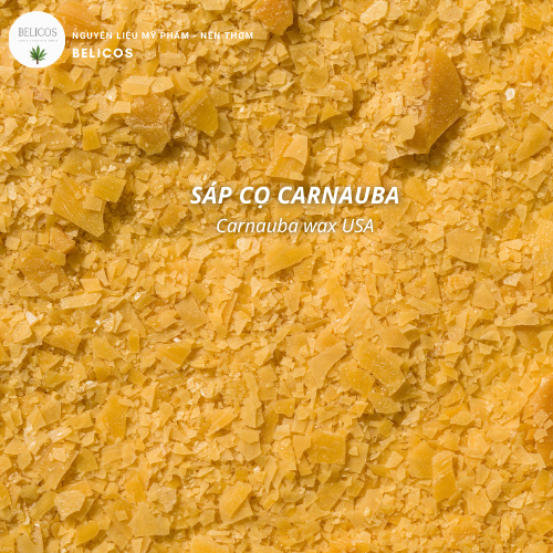 Sáp carnauba mỹ phẩm Sáp carnauba mỹ phẩm