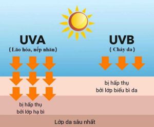 Tác hại của Tia UV khi không có kem chống nắng