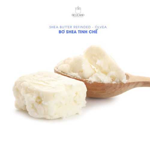 Bơ Shea Pháp (Shea Butter) » Nguyên Liệu Mỹ Phẩm Beli Group