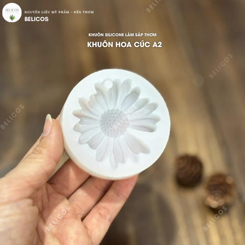 Khuôn hoa cúc hoạ mi Khuôn hoa cúc hoạ mi