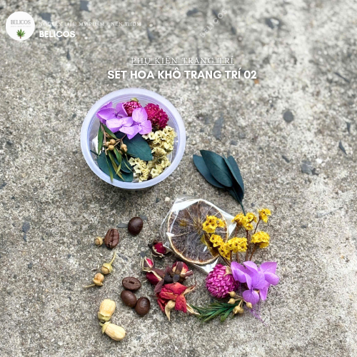Set hoa khô trang trí 02