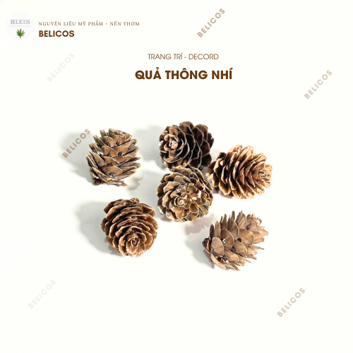 Quả thông mini trang trí nến