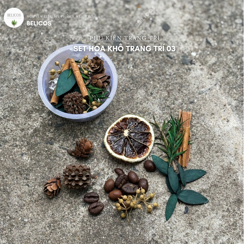 Set hoa khô mini 03 trang trí nến